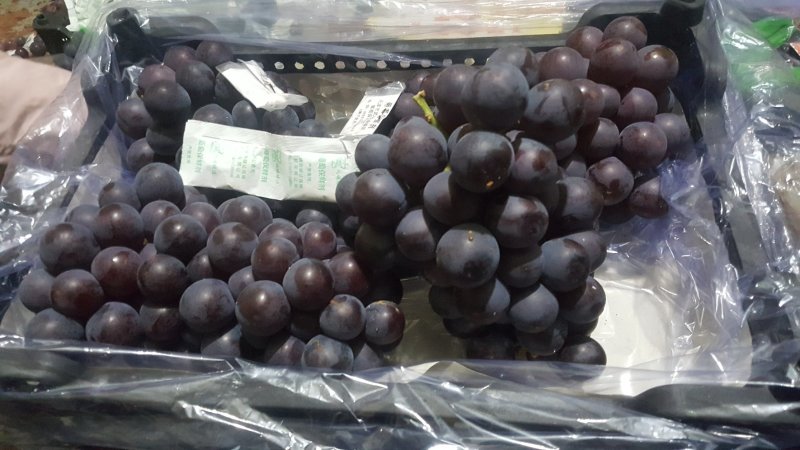 精品巨峰葡萄，大颗粒高糖度，量大从优品质保证可供商超