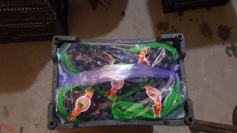 精品巨峰葡萄，大颗粒高糖度，量大从优品质保证可供商超