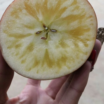 云南丑苹果