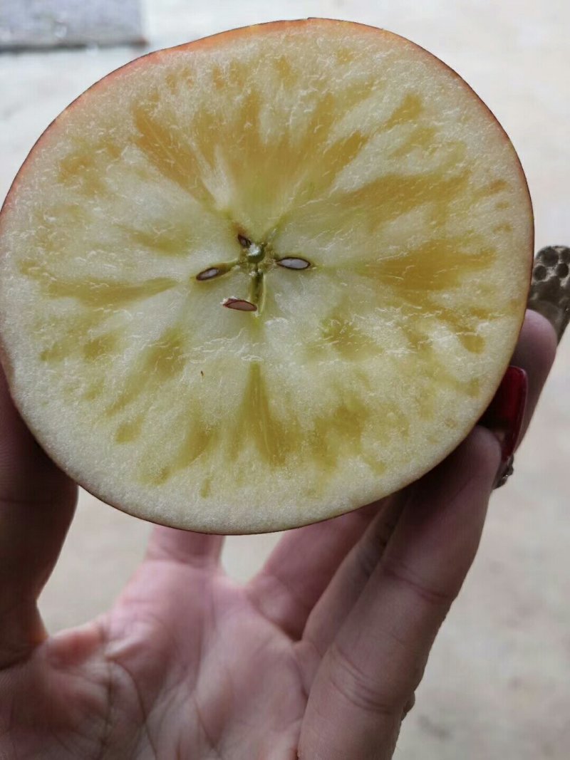 云南丑苹果