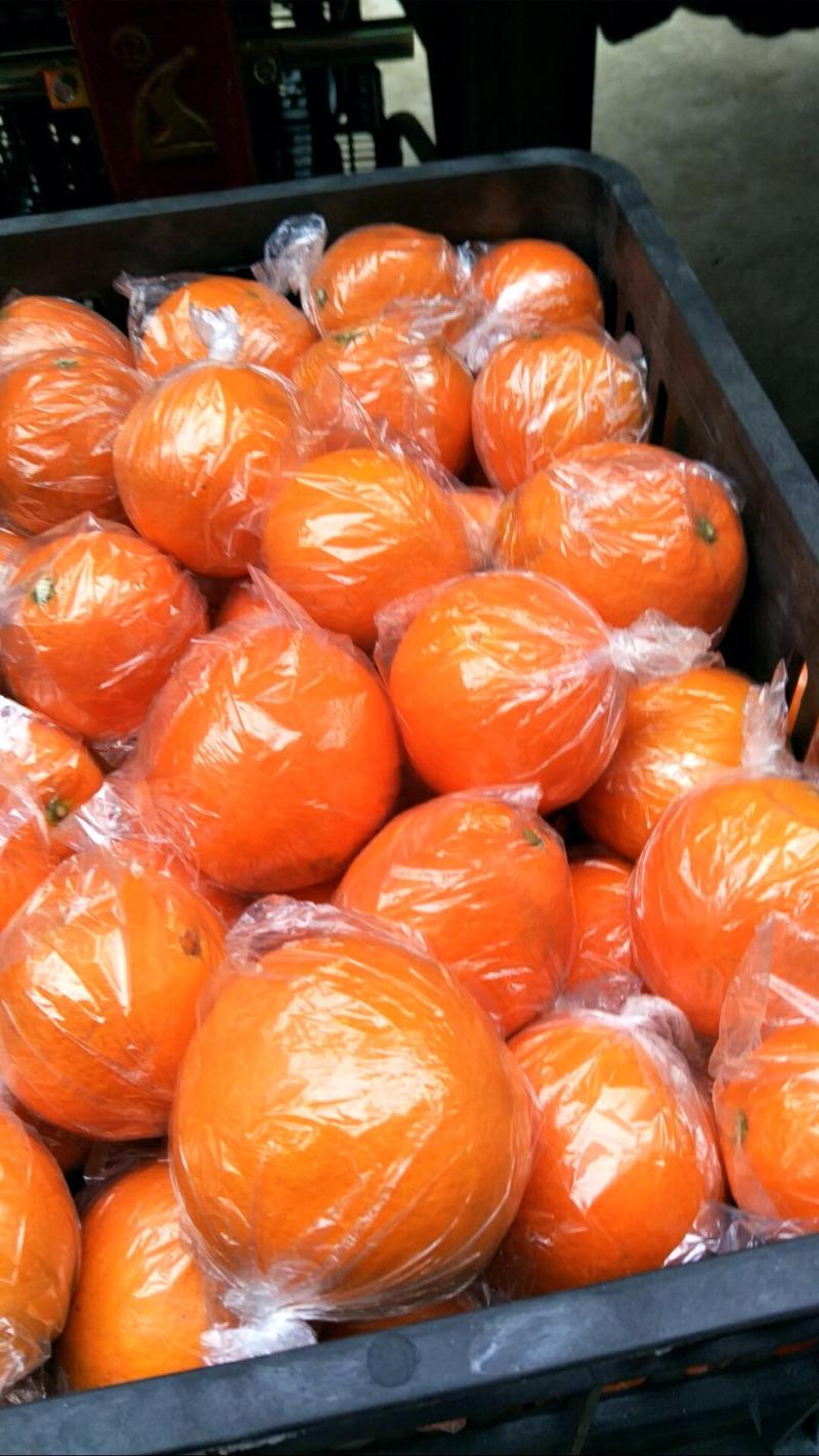 纽荷尔脐橙颜色火红，表皮细腻，口感甜蜜蜜，大产区直供
