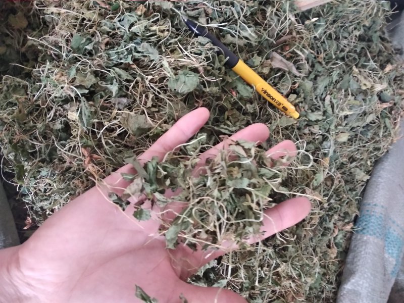 地丁新货