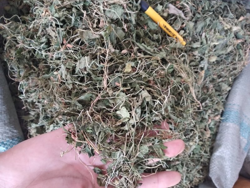 地丁新货