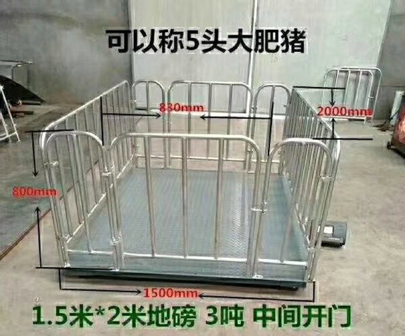 【精品】母猪产床全国供应，专业生产，品质保证