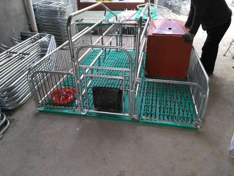 【精品】母猪产床全国供应，专业生产，品质保证