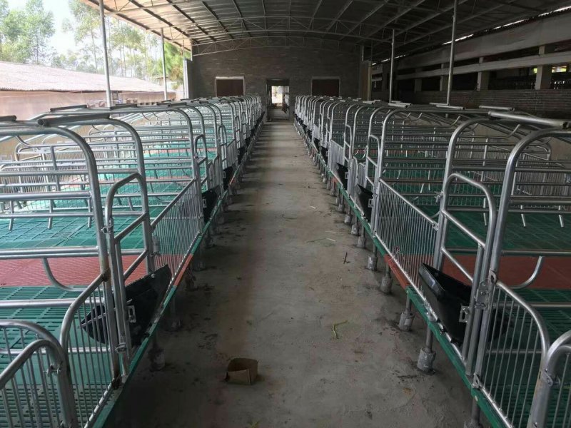 【精品】母猪产床全国供应，专业生产，品质保证