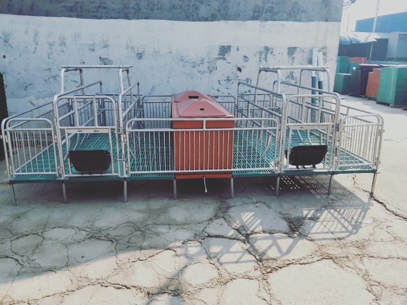 【精品】母猪产床全国供应，专业生产，品质保证