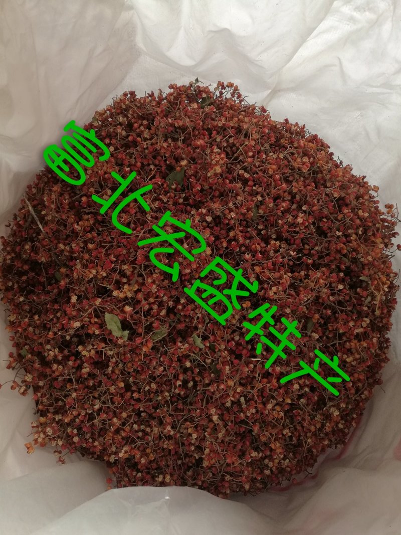 陕西富平花椒