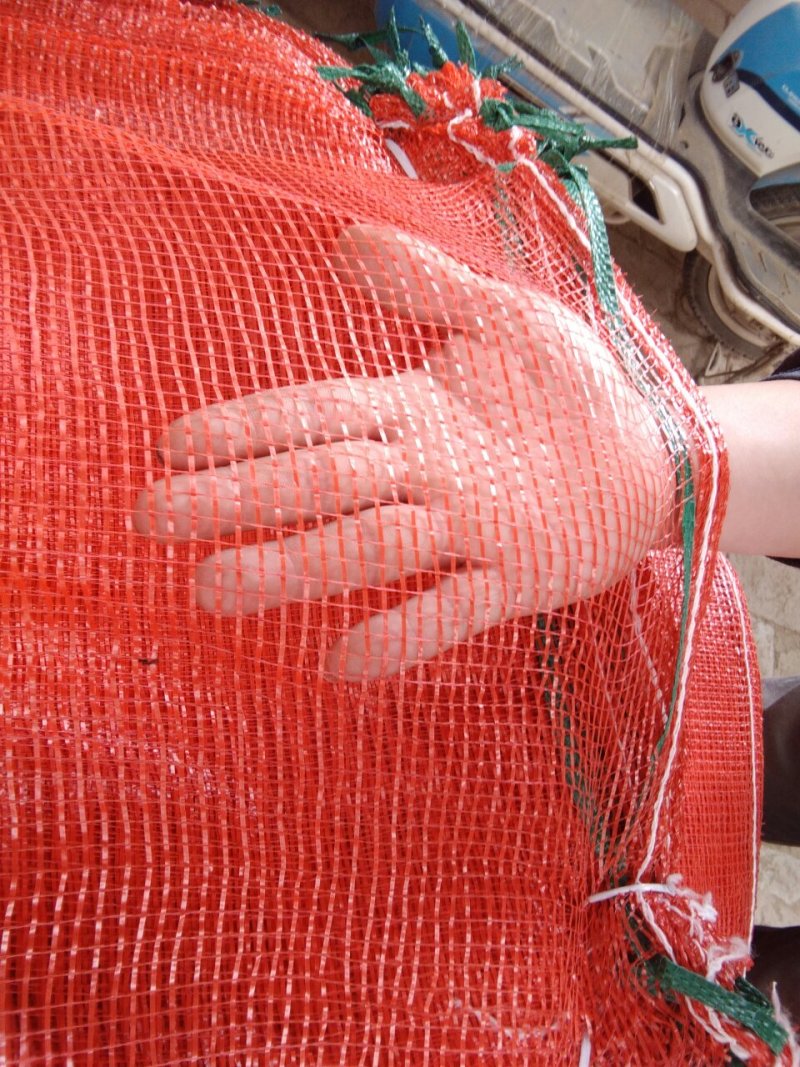 大蒜网袋