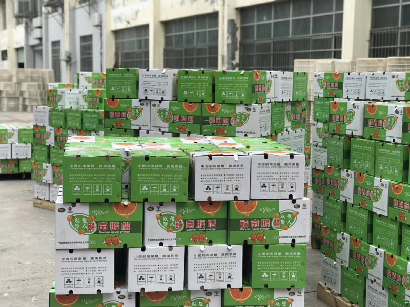 正宗赣南脐橙