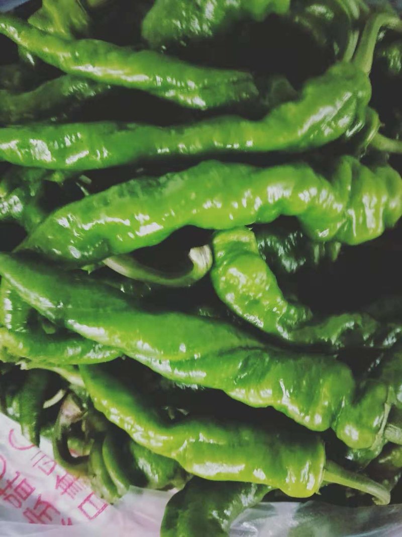 红菜，花菜，螺丝椒，物美价廉。