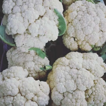 红菜，花菜，螺丝椒，物美价廉。