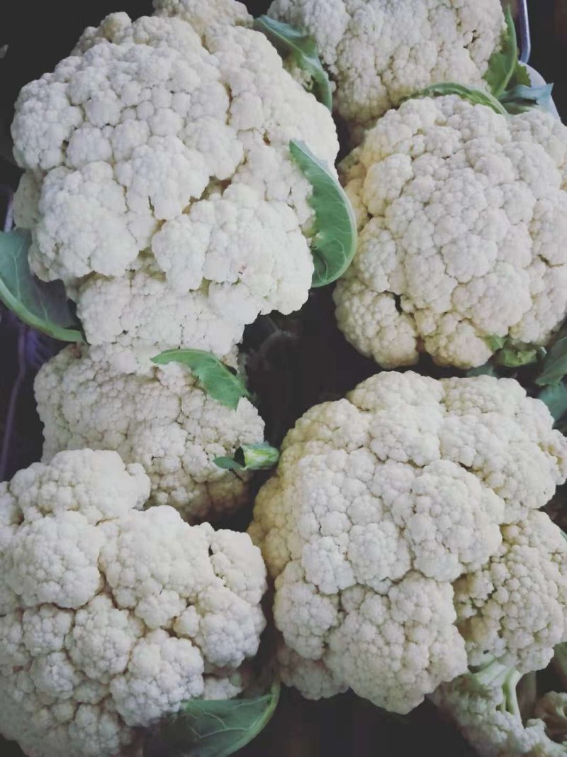 红菜，花菜，螺丝椒，物美价廉。