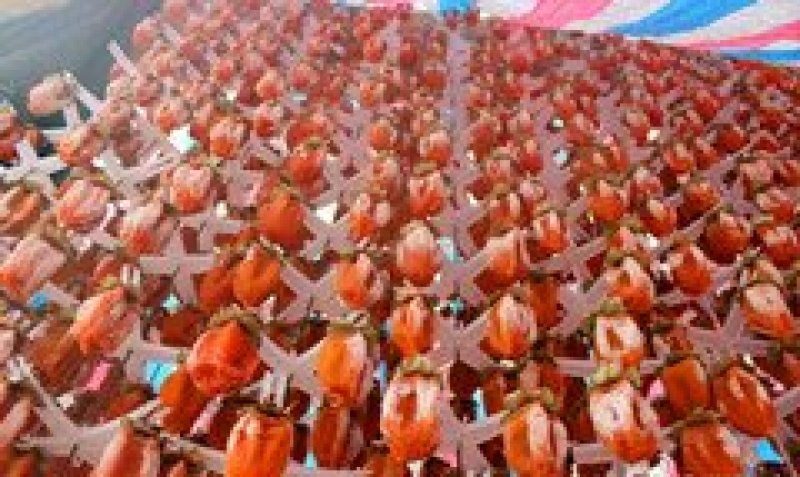 富平降霜柿子饼吊柿饼产地直发包邮对接商超电商一件代发