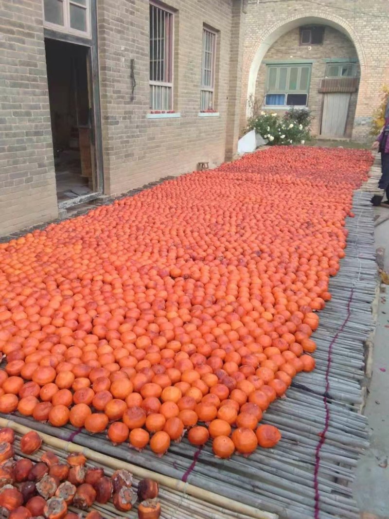柿饼老树小柿饼