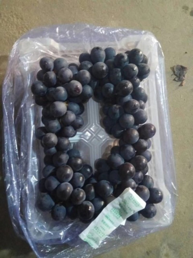 大量供应冷库巨丰葡萄