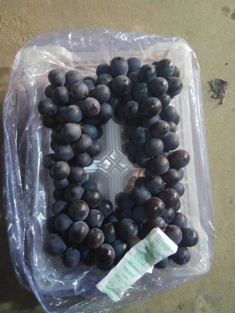 大量供应冷库巨丰葡萄