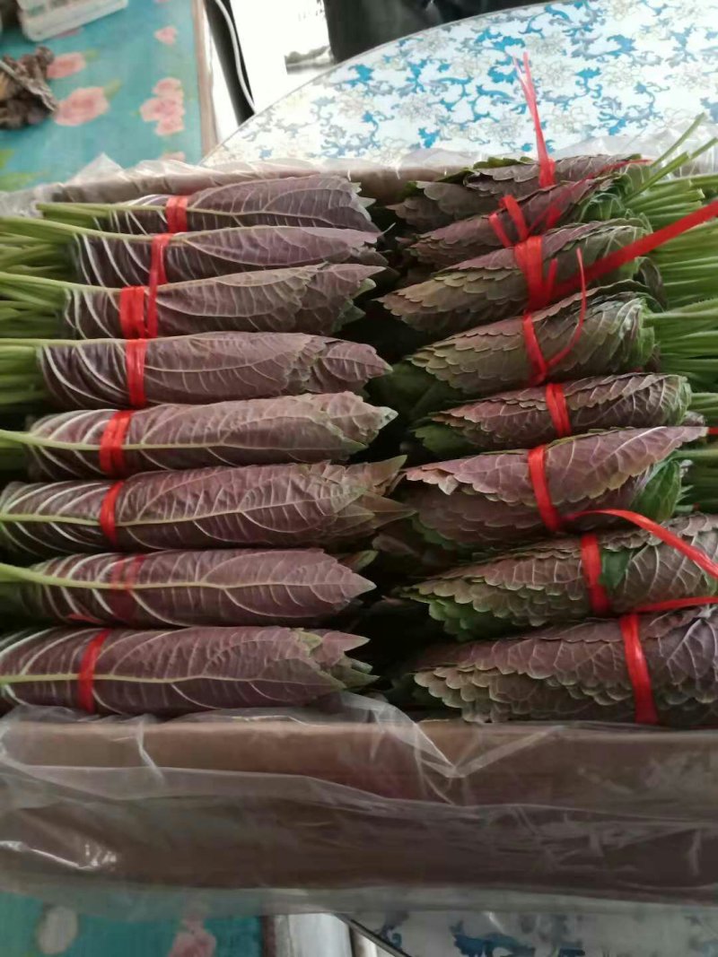 小根蒜
