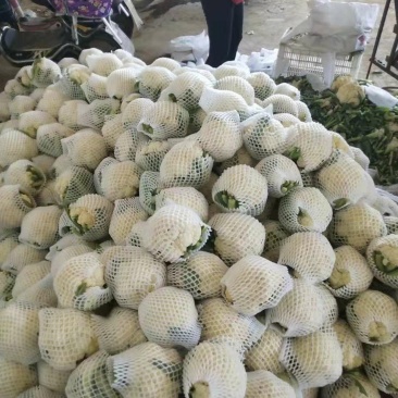菜花