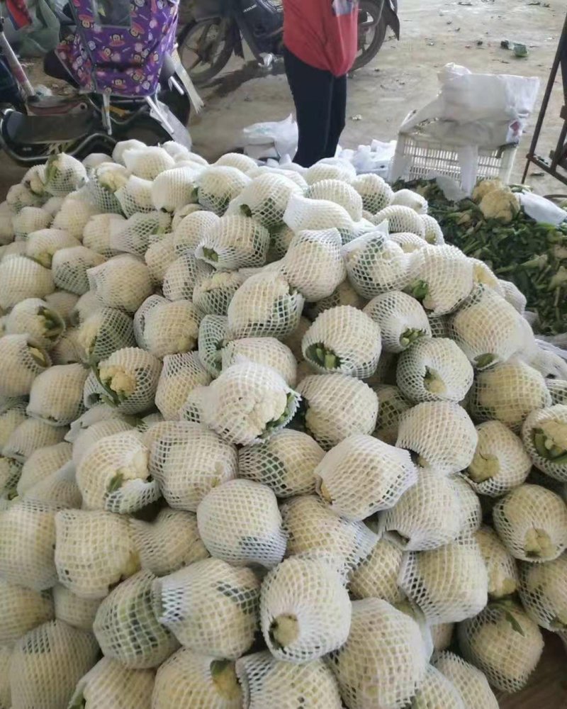 菜花