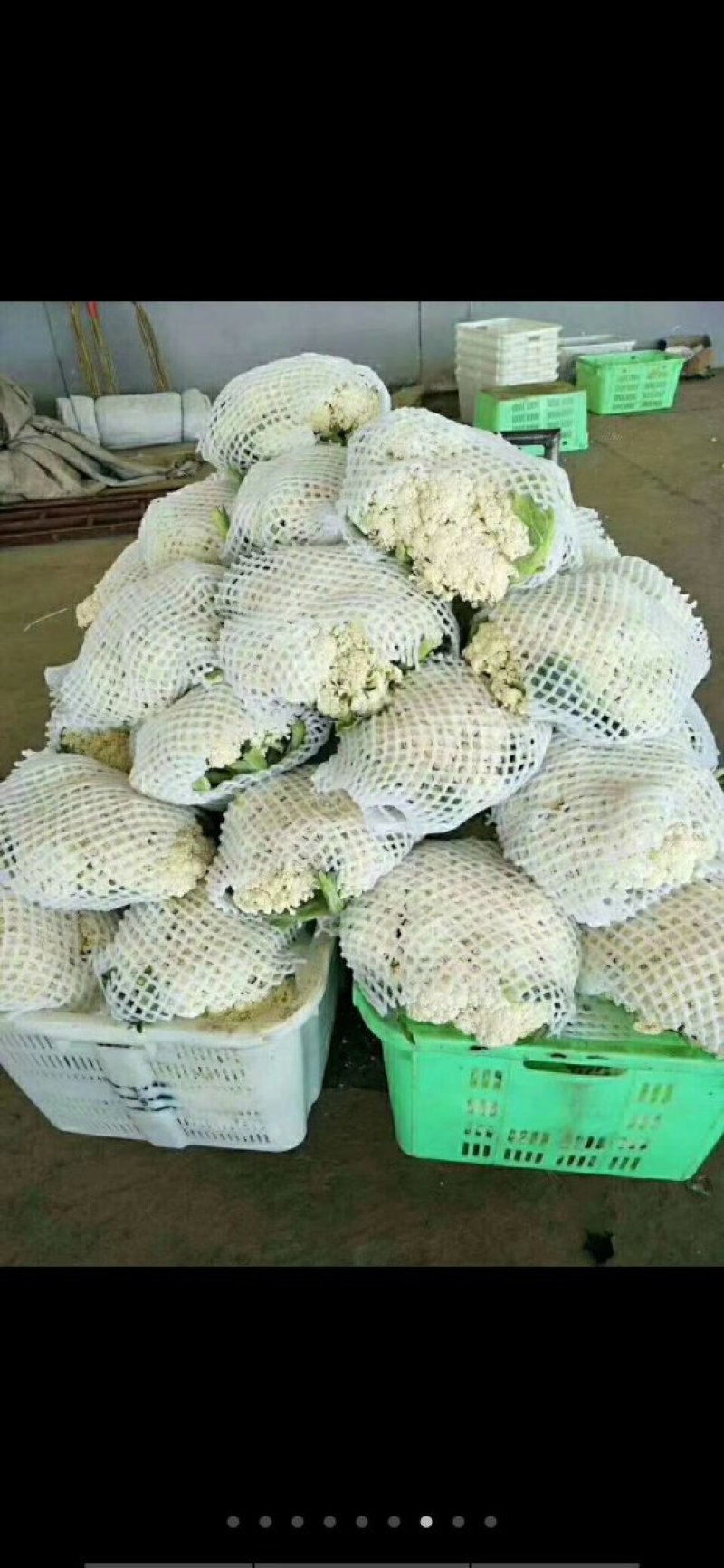 有机花