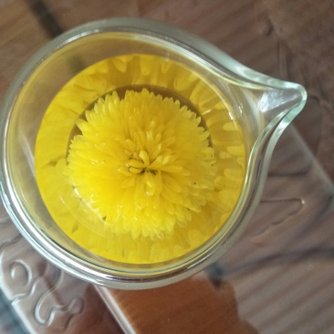 婺源黄菊