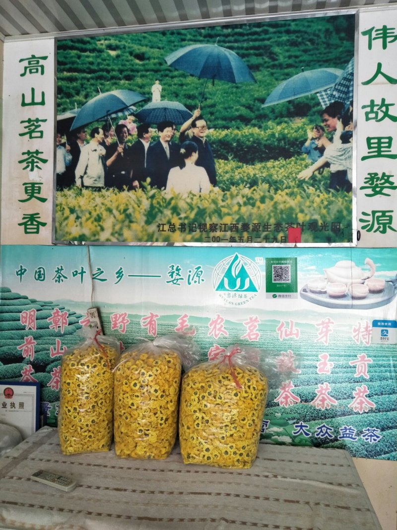 婺源黄菊