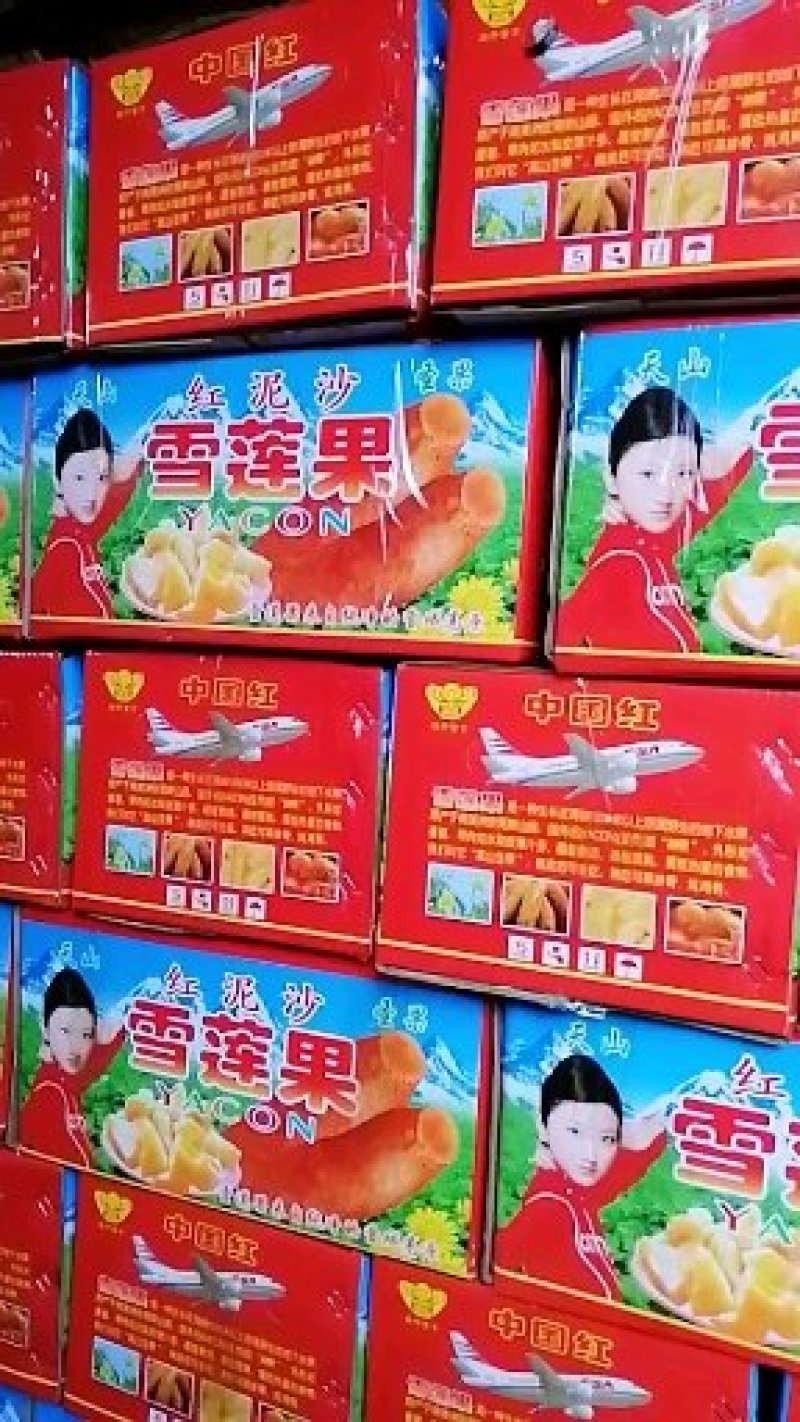 【现货】26年雪莲果大量上市一件代发批发社区团购供货