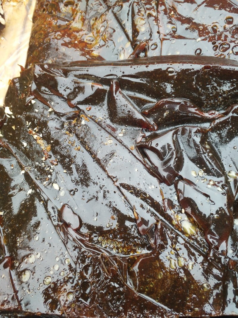 麦芽糖，核桃糖，，