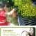 海南正宗琼中绿橙10斤皮薄多汁官方授权果园新鲜现摘现发