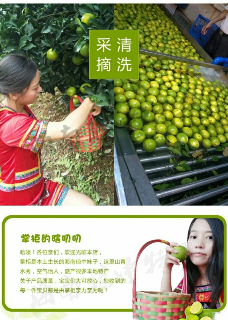 海南正宗琼中绿橙10斤皮薄多汁官方授权果园新鲜现摘现发