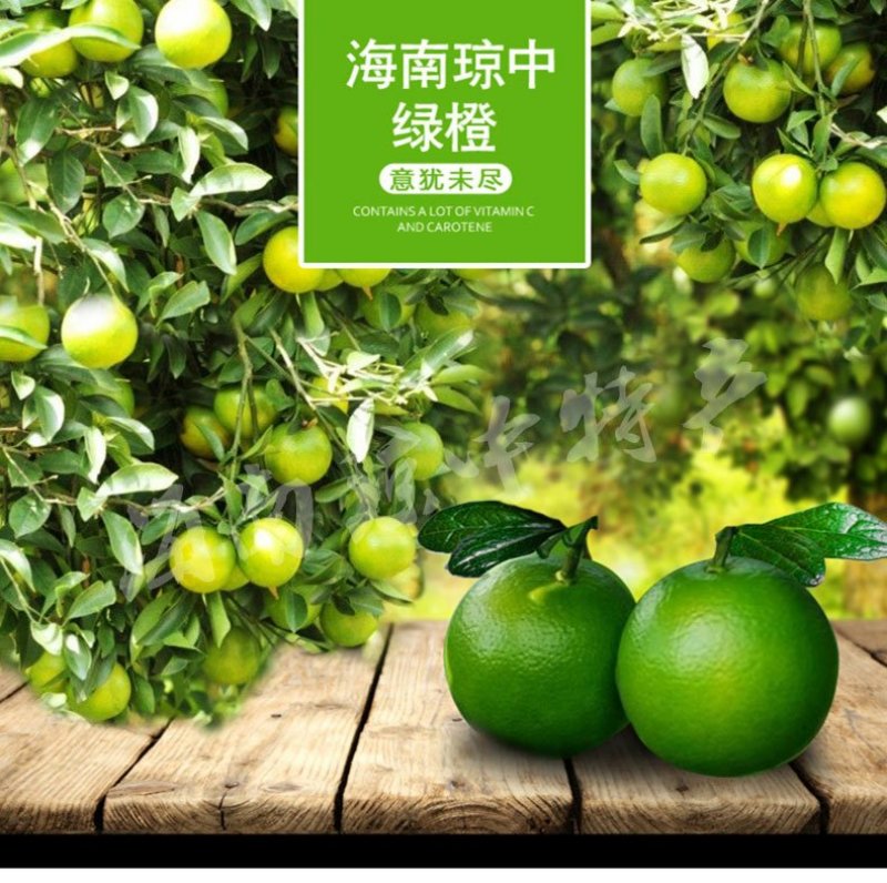 海南正宗琼中绿橙10斤皮薄多汁官方授权果园新鲜现摘现发
