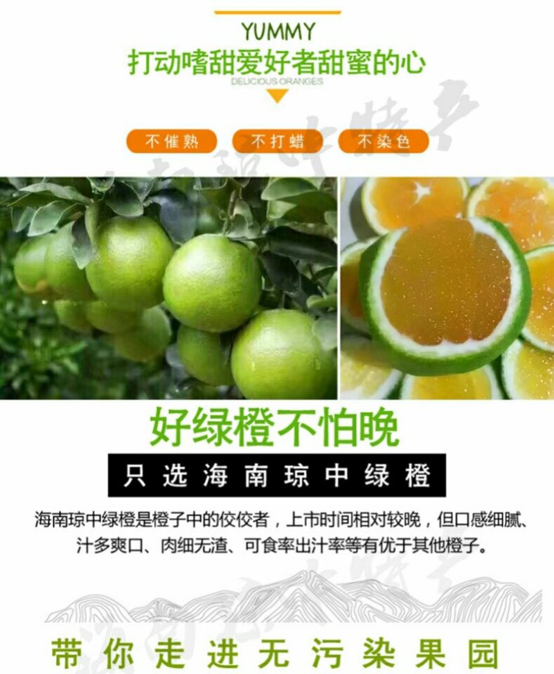 海南正宗琼中绿橙10斤皮薄多汁官方授权果园新鲜现摘现发