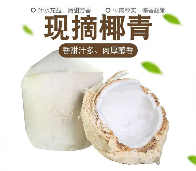 现摘海南椰青9个装新鲜包邮当季水果去皮椰子鲜椰子泰国老椰