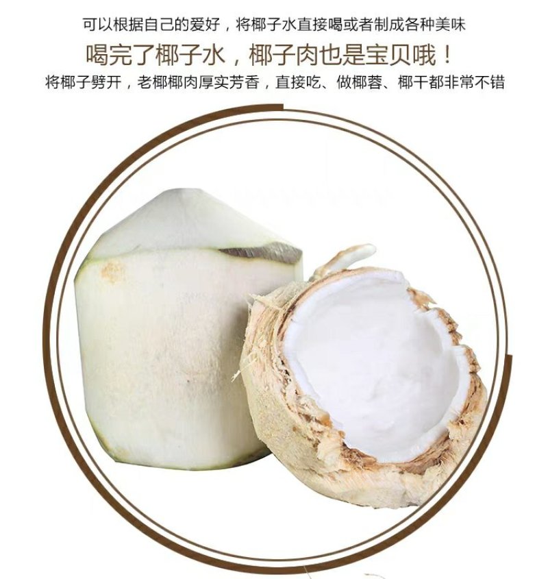现摘海南椰青9个装新鲜包邮当季水果去皮椰子鲜椰子泰国老椰