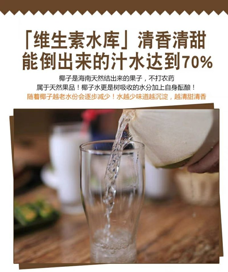 现摘海南椰青9个装新鲜包邮当季水果去皮椰子鲜椰子泰国老椰