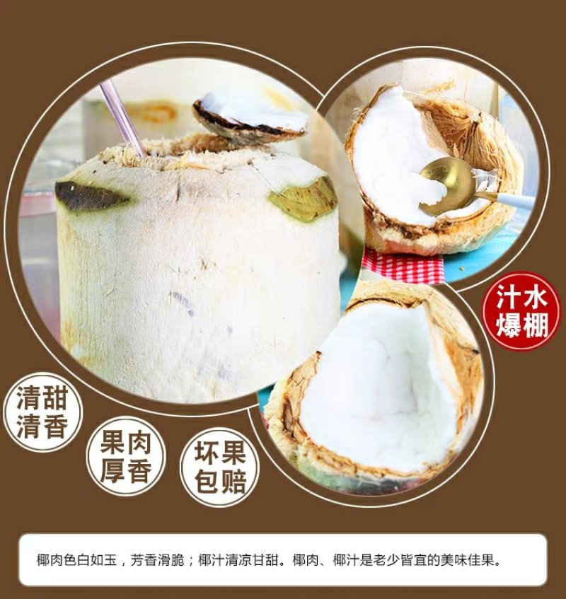 现摘海南椰青9个装新鲜包邮当季水果去皮椰子鲜椰子泰国老椰