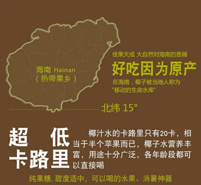 现摘海南椰青9个装新鲜包邮当季水果去皮椰子鲜椰子泰国老椰
