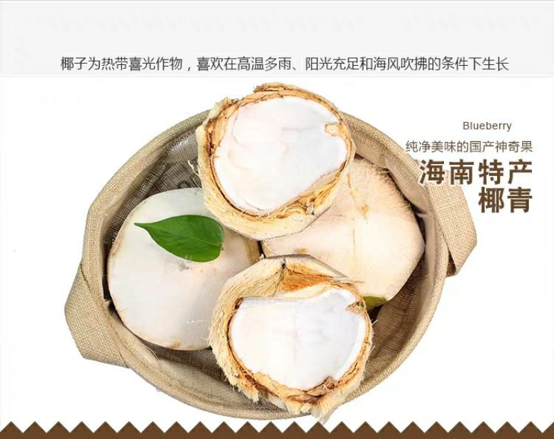 现摘海南椰青9个装新鲜包邮当季水果去皮椰子鲜椰子泰国老椰