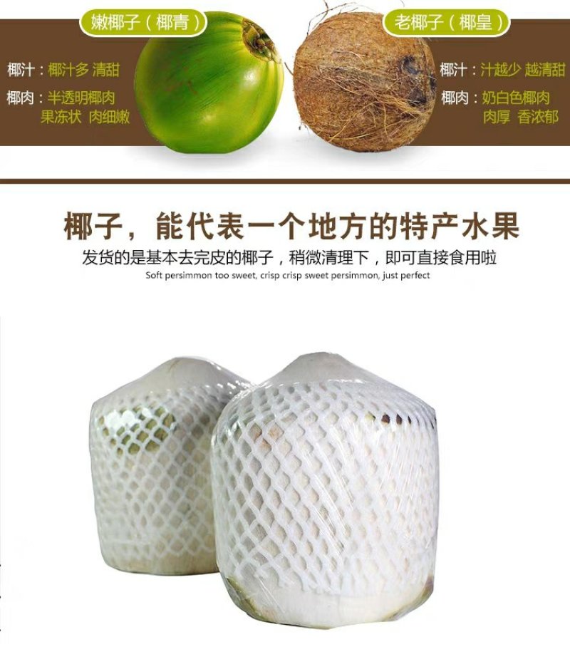 现摘海南椰青9个装新鲜包邮当季水果去皮椰子鲜椰子泰国老椰