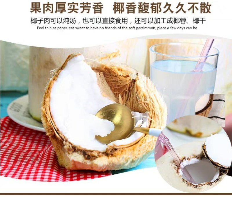 现摘海南椰青9个装新鲜包邮当季水果去皮椰子鲜椰子泰国老椰