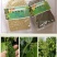 包邮正宗海南特级精选白胡椒粒500g农家白胡椒粉调料散装