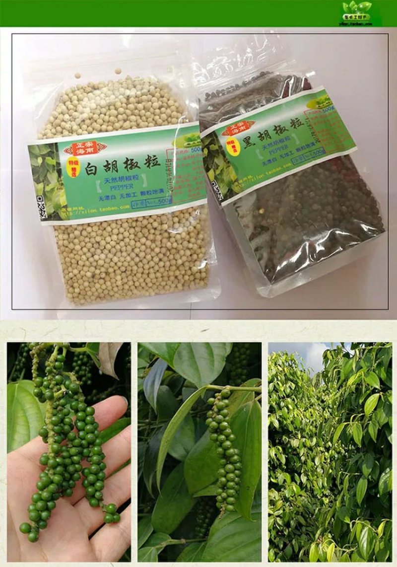 包邮正宗海南特级精选白胡椒粒500g农家白胡椒粉调料散装