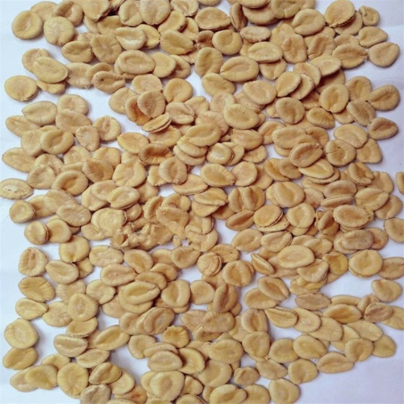 供应高产罗汉果种子100粒/包
