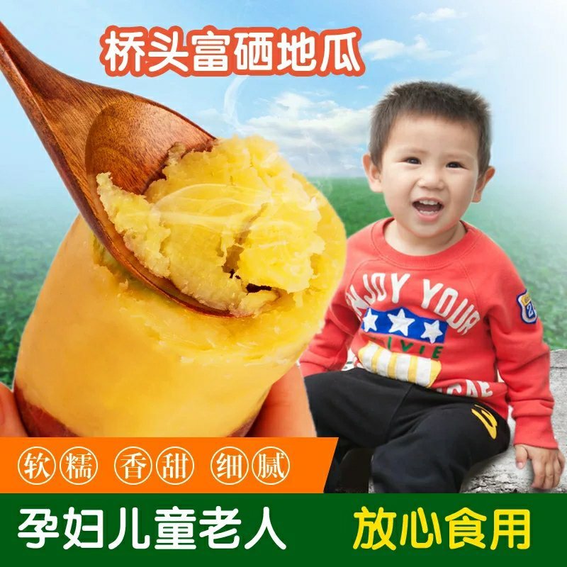 小果海南澄迈桥头富硒地瓜板栗番薯新鲜农家自种小香红薯沙地