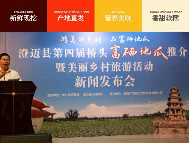 小果海南澄迈桥头富硒地瓜板栗番薯新鲜农家自种小香红薯沙地