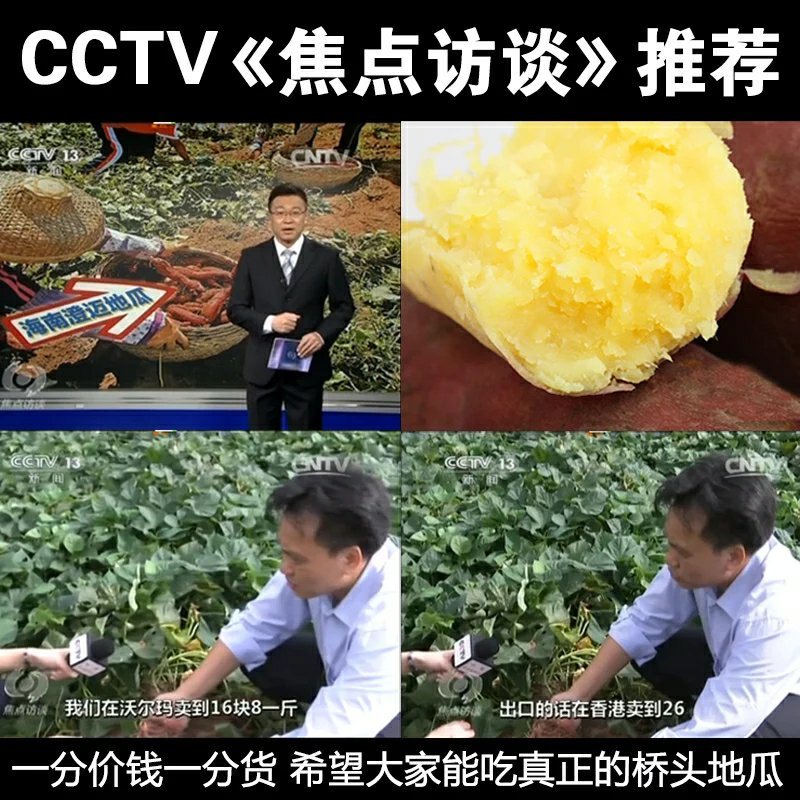 小果海南澄迈桥头富硒地瓜板栗番薯新鲜农家自种小香红薯沙地