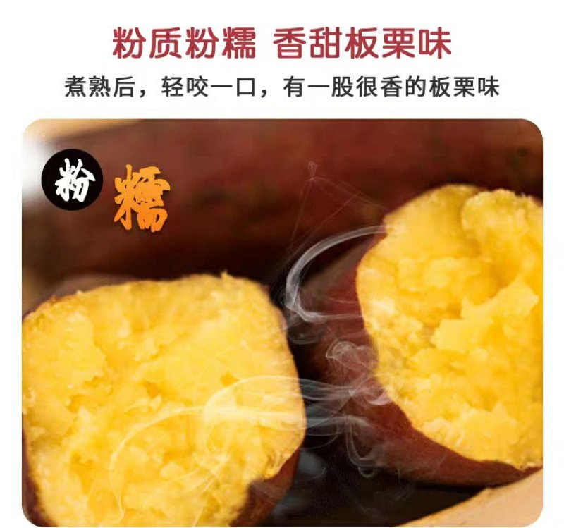 小果海南澄迈桥头富硒地瓜板栗番薯新鲜农家自种小香红薯沙地