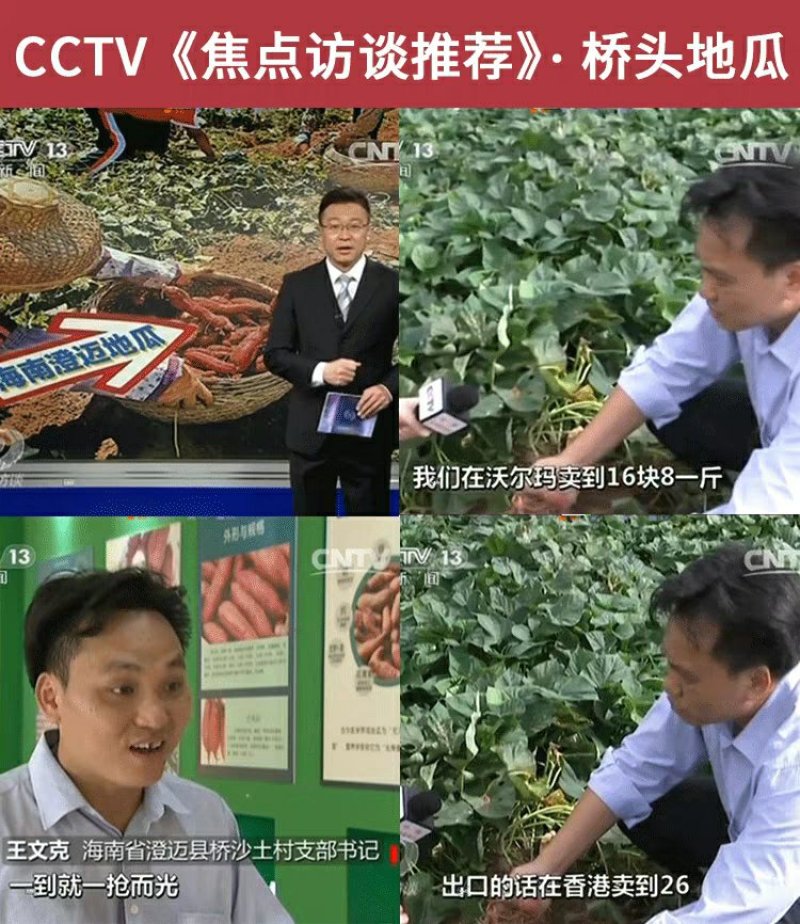 小果海南澄迈桥头富硒地瓜板栗番薯新鲜农家自种小香红薯沙地
