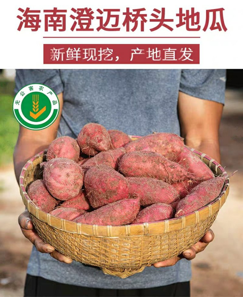 小果海南澄迈桥头富硒地瓜板栗番薯新鲜农家自种小香红薯沙地